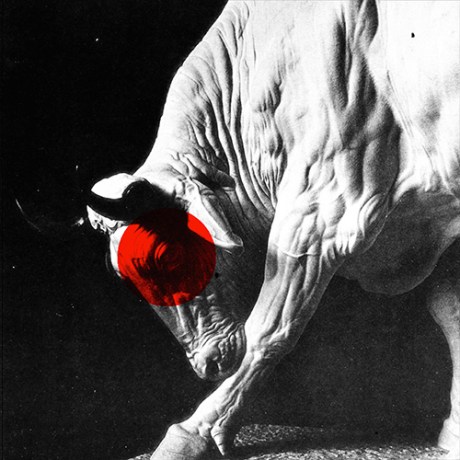 NK42-Artwork-jacket-design